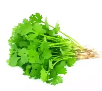 Dhoniya Pata (Coriander Leaf) – ধনিয়া পাতা