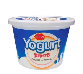 Pran Sour Curd -প্রান টক দই-500 gm