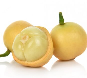 Burmese Grape / Lotkon – লটকন