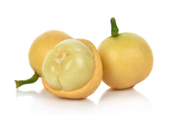 Burmese Grape / Lotkon - লটকন